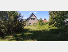 Ein Einfamilienhaus mit spitzem Giebeldach und zwei Fenstern in der Fassade, umgeben von dichtem, bewachsenen Garten mit Sträuchern, Rasen und Bäumen unter blauem Himmel.