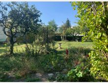 Ein grüner Garten mit Bäumen, Büschen und Wildpflanzen, umgeben von einem kleinen Zaun. In der Mitte des Gartens steht ein dekorativer Steinbrunnen, im Hintergrund sind ein Schuppen und ein Holzhaus zu sehen.