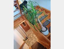 Holztreppenhaus mit Teppichstufen, begrenzt durch ein Holzgeländer. Im Vordergrund steht eine große Zimmerpflanze, und im Hintergrund ist ein gefliester Boden sowie eine Holztür sichtbar.