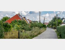 Schmale Wohnstraße in einem Vorort mit kleinen Einfamilienhäusern, roten und gelben Schrägdächern sowie gepflegten Gärten mit viel Grün, Blumen und Hecken; links und rechts sind Zäune und Telefonmasten zu sehen, der Himmel ist wolkig.