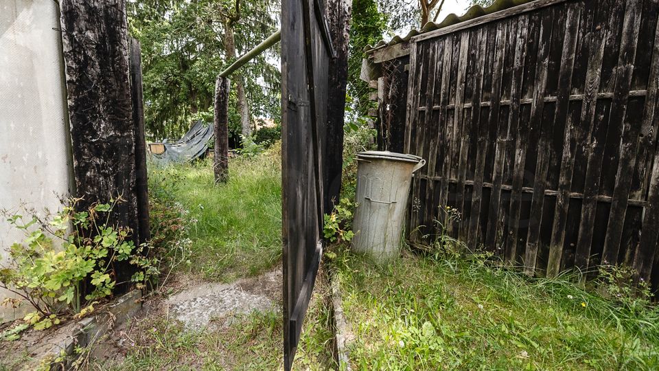 Schmaler, verwilderter Gartenweg zwischen dunklen, verwitterten Holzzäunen und einer halb geöffneten Holztür. Hohe Gräser, Bäume und ein grauer Metallmülleimer stehen neben einem Holzschuppen mit gewelltem Dach.