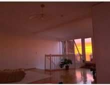 Wohnraum mit Holzboden und weiß gestrichenen Wänden, im Hintergrund große Fenster mit Blick auf einen orangefarbenen Sonnenuntergang. Im Raum steht eine grüne Pflanze in einem Topf, und die Beleuchtung wird durch das natürliche Licht dominiert.