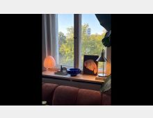 Ein Fensterbereich mit Blick auf grüne Bäume und ein Gebäude im Hintergrund. Auf der Fensterbank stehen eine kleine Tischlampe, ein gerahmtes Kunstbild, Bücher, eine blaue Schale und eine dekorative Pflanze; im Vordergrund ein Teil eines rosafarbenen Sofas.