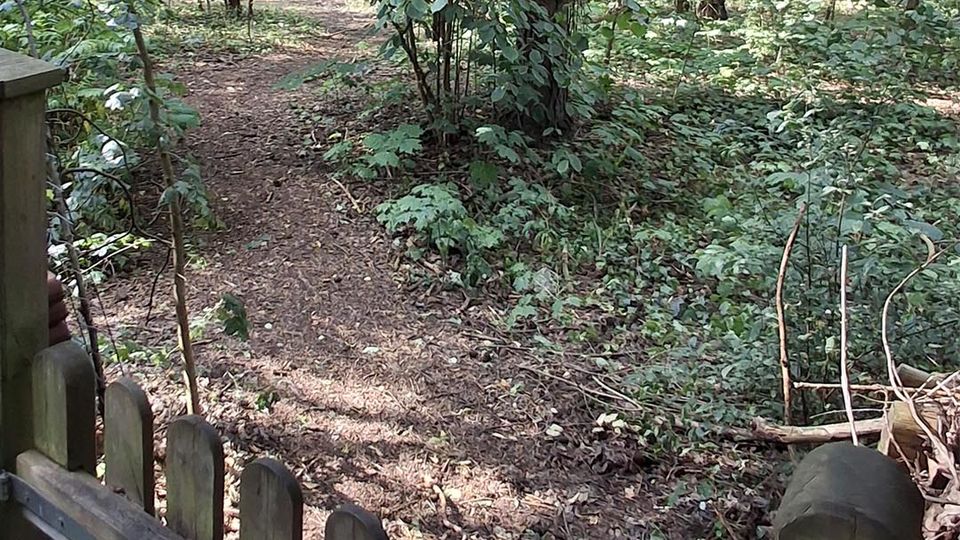 Holztor mit Lattenzaun im Vordergrund, das auf einen schmalen Erdpfad in einem dichten Wald führt. Umgeben von hohen Baumstämmen, dichtem Unterholz und Laub am Waldboden.