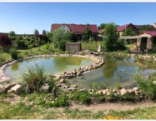 Ein ländlicher Garten mit zwei kleinen, durch Steine eingefassten Teichen, umgeben von Gras, Büschen und Bäumen. Im Hintergrund stehen Häuser mit roten Ziegeldächern und naturbelassene Wiesen.