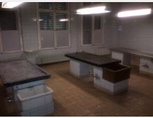 Ein leerer Raum mit gefliesten Wänden und Böden, ausgestattet mit mehreren rechteckigen Arbeitstischen, die auf Fliesensockeln montiert sind. Ein Waschbecken und mehrere Wasseranschlüsse sind sichtbar, während große Fenster mit teilweise geschlossenen Rollos die Rückwand einnehmen.