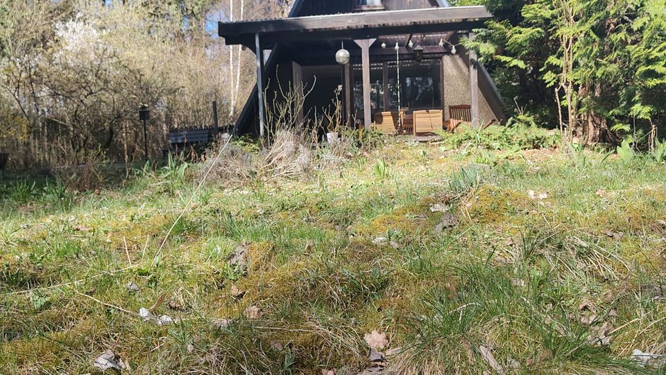 Holz-Ferienhaus im A‑Frame-Stil mit steilem Satteldach und überdachter Terrasse vor großen Fensterflächen. Davor eine leicht abschüssige, moosige Wiese; das Haus ist von hohen Bäumen und dichtem Wald umgeben.