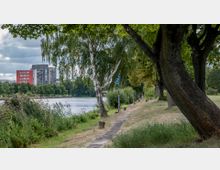 Uferweg an einem Fluss mit hohen Bäumen und dichtem Grün im Vordergrund, daneben ein schmaler Gehweg. Im Hintergrund sind moderne Wohngebäude und eine Brücke zu sehen, Himmel teils bewölkt.