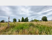 Weite Wiesenlandschaft mit hohem Gras und vereinzelten Bäumen im Hintergrund. Mehrere hölzerne, verzierte Pfähle ragen aus der Wiese, während der Himmel mit dichten Wolken bedeckt ist.