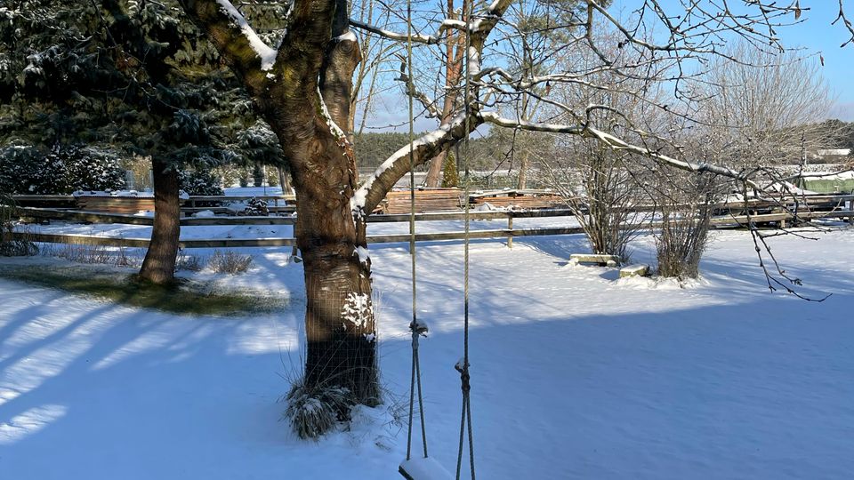 Verschneiter Garten mit einem großen Baum im Vordergrund, an dessen Ast eine einfache Seilschaukel hängt. Im Hintergrund sind ein Holzzaun, Nadelbäume und eine winterliche Landschaft unter blauem Himmel zu sehen.