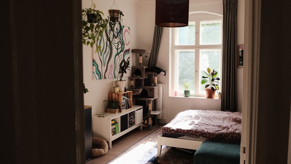 Helles Schlafzimmer mit weißem Bett auf gemustertem Teppich, großer Bogenfensterfront mit dunklen Vorhängen und mehreren Zimmerpflanzen auf der Fensterbank. An der Wand hängen ein abstraktes Bild und Hängepflanzen; daneben stehen ein Katzenkratzbaum und ein niedriges Regal mit Büchern.