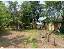 Ein unaufgeräumter Garten mit vereinzelten Bäumen, Baumstümpfen und Pflanzen, umgeben von dichten Sträuchern und Bäumen. Rechts im Bild steht ein kleines Gartenhaus aus Holz mit einem grauen Dach, umgeben von Gartenutensilien und Werkzeugen.
