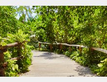 Ein gepflasterter Weg führt durch eine üppige, grüne Vegetation mit dichtem Laub und zahlreichen Pflanzen. Auf beiden Seiten des Weges befinden sich rustikale Holzgeländer, die den Weg säumen.