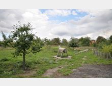 Eine grüne Wiese mit Bäumen und einem Holzspielgerät in Form eines Pferdes, umgeben von vereinzelten Felsen, einem niedrigen Holzzaun und Büschen unter bewölktem Himmel. Im Hintergrund sind weitere Bäume und Teile einer kleinen Struktur zu sehen.