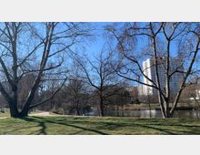 Parklandschaft mit einem Teich im Hintergrund, umgeben von kahlen Bäumen. Im Hintergrund ist ein hoher, weißer Wohnblock sowie eine klare, blaue Himmelsszenerie zu sehen.