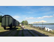 Ein Flussufer mit Wiesen, einem gepflasterten Weg und alten grünen Güterwaggons auf der linken Seite. Rechts stehen Holzbänke mit großen Sonnenschirmen, dahinter der Fluss mit bewaldetem Ufer im Hintergrund.