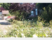 Garten mit blühenden Sträuchern und Blumen, einem kleinen dekorativen Baum in der Mitte und einem gemauerten Brunnen auf einem gepflasterten Weg; im Hintergrund ein Gebäude mit verzierten Fenstern und Ziegeldach.