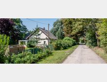 Ein weißes Einfamilienhaus mit Satteldach und Reetdeckung steht inmitten eines gepflegten Gartens, umgeben von Bäumen und Büschen. Rechts führt ein unbefestigter Weg an dem Grundstück entlang, flankiert von grünem Bewuchs.