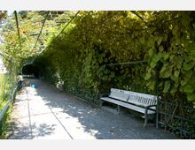 Ein mit Blättern bewachsener Laubengang in einem Park mit Kiesweg, weißen Holzbänken und grünen Metallstrukturen. Im Hintergrund arbeitet eine Person neben einer Schubkarre.