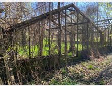 Verfallenes Gewächshausgerüst aus Metall und Holz, dicht überwuchert von Ranken und ohne Verglasung. Es steht in einem verwilderten Gartenbereich mit Laub am Boden, umgeben von Bäumen und Wiese im Hintergrund.