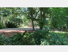 Waldähnlicher Parkbereich mit dichtem Grün, vereinzelten Bäumen und schattigen Wegen. Im Vordergrund sind tief liegende Sträucher zu sehen, während ein Weg und einzelne Holzbankelemente im Hintergrund erkennbar sind.