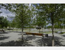 Öffentlicher Parkbereich mit einer Reihe von jungen Bäumen, die auf einem Schotterweg stehen. Im Hintergrund sind Wasserspiele, Rasenflächen und vereinzelt Bänke sowie einige geparkte Fahrzeuge und Menschen zu sehen.