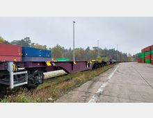 Ein Güterbahnhof mit verladenen Containern in verschiedenen Farben links und rechts im Bild sowie einem leeren, lila Containerwaggon in der Mitte. Im Hintergrund ist ein Wald mit herbstlich gefärbten Bäumen zu sehen, unter einem grauen, bewölkten Himmel.