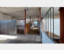 Ein leerer Pferdestall mit mehreren Boxen, teils aus Holz, teils mit Metallgittern, in einem weißen, rechteckigen Gebäude mit roter Säulenstruktur und einer sichtbaren Holzdecke. Durch ein rundbogiges Fenster am Ende des Gangs fällt Tageslicht herein.