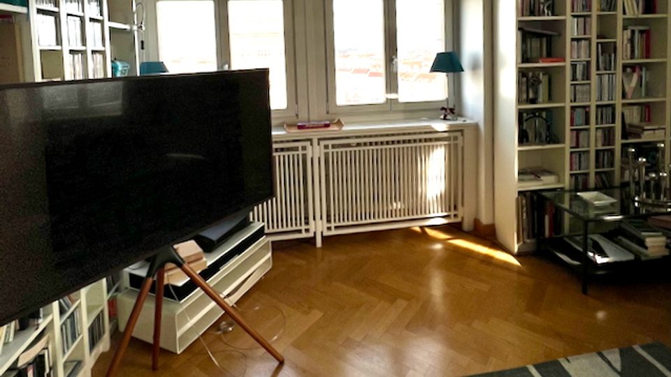 Helles Wohnzimmer mit großen, weiß gerahmten Fenstern und Parkettboden, neben einem Heizkörper unter der Fensterfront. An den Wänden stehen hohe Bücherregale, im Vordergrund ein Fernseher auf einem Stativ und ein gemusterter Teppich.