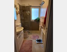 Kleines Badezimmer mit Waschbecken, Toilette und einer ebenerdigen Dusche mit Glastrennwand. Das Fenster ist mit Milchglas versehen, links steht ein Waschtisch, rechts hängen Handtücher, und der Boden ist mit rosa Teppichen ausgelegt.