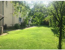 Garten mit einer großen, gepflegten Rasenfläche, flankiert von Bäumen und Sträuchern. Links steht ein beige Wohngebäude mit Fenstern, Leiter und umliegenden Pflanzen.