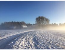 Schneebedecktes Feld mit traktorähnlichen Spuren, im Hintergrund stehen große Bäume sowie zwei Gebäude, teils von Nebel umgeben, unter einem klaren blauen Himmel.