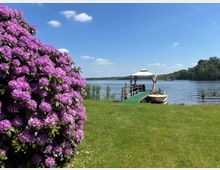 Uferwiese an einem See mit Steg, kleinem Pavillon und einem am Steg liegenden Motorboot. Links im Vordergrund steht ein großer, dicht blühender Rhododendronstrauch, im Hintergrund sind Schilf, Baumufer und blauer Himmel zu sehen.