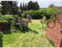 Gartenbereich mit gemähtem Rasen, lilafarbenen Fliedersträuchern und umgebender dichter grüner Vegetation. Rechts ein rotes Backsteingebäude mit Efeubewuchs, im Hintergrund mehrere Nadelbäume und ein bewölkter Himmel.
