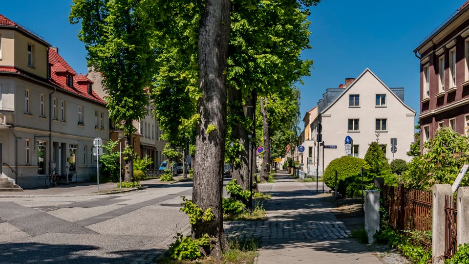 Baumgesäumte Wohnstraße mit breitem Gehweg und Kopfsteinpflasterstreifen, flankiert von mehrstöckigen Altbauten mit Putzfassaden und roten Ziegeldächern. Entlang der Straße stehen Verkehrsschilder, Laternen und niedrige Zäune mit Hecken vor den Häusern.