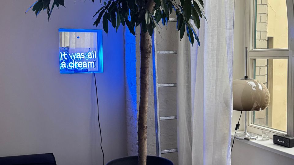 Ecke eines modernen Innenraums mit schwarzem Ledersofa, großem Topfbaum und einem blauen Neon-Wandschild. Rechts stehen hohe Fenster mit weißen Vorhängen und ein kleiner Tisch auf der Fensterbank.