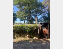 Holzhütte mit brauner Tür, umgeben von einem niedrigen Zaun und einer Hecke, dahinter große Bäume unter klarem Himmel. Im Vordergrund befindet sich ein kleiner Sandboden mit Baumstümpfen und einer Metallschale.