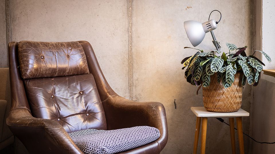 Gemütliche Sitzecke in einem Innenraum mit Sichtbetonwand: ein brauner Ledersessel mit gemustertem Sitzkissen steht neben einem kleinen Beistelltisch mit Korb-Topfpflanze und Schreibtischlampe. Rechts ist eine Fensterbank mit einfallendem Tageslicht zu sehen.