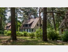 Ein kleines Wohnhaus mit Satteldach und weißen Fensterläden steht in einer waldartigen Umgebung, umgeben von hohen Kiefern und niedrigen Büschen. Im Hintergrund sind weitere ähnliche Häuser zu sehen.
