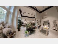 Ein moderner Laden mit hohen Decken und großen Fenstern, eingerichtet mit Pflanzen, Dekorationsartikeln und Regalen voller Produkte. In der Mitte stehen Holztische mit Blumentöpfen, während die Wände mit Regalen und Naturdekorationen geschmückt sind.