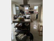 Moderne Küche mit einem zentralen Küchenblock, auf dem Kochutensilien und Obst liegen. Im Hintergrund sind weiße Schränke, eine Spüle unter einem Fenster und ein Kühlschrank zu sehen. Auf dem Boden steht ein Hund neben einem Hundebett.