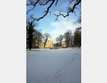 Schlossartige gelbe Villa in einem winterlichen Park, umgeben von schneebedeckter Landschaft mit kahlen Bäumen. Im Vordergrund ist eine große schneebedeckte Fläche, die von Ästen verlaufender Bäume eingerahmt wird.