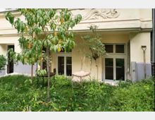 Eine kleine begrünte Gartenfläche mit hohem Gras, einem jungen Baum und einem Metallstuhl vor einer gelblich-beigen Gebäudefassade mit verzierten Stuckelementen und bodentiefen Fenstern.