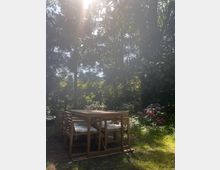 Holztisch mit passenden Stühlen und weißen Sitzkissen steht auf einer Grasfläche in einem schattigen Garten, umgeben von hohen Bäumen und blühenden Rhododendronsträuchern. Sonnenlicht strahlt durch das Blätterdach.