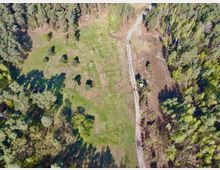 Luftaufnahme einer Waldlichtung mit vereinzelten Bäumen und Sträuchern. Rechts verläuft ein schmaler, unbefestigter Weg, der von dichten Waldflächen gesäumt wird.