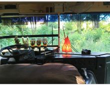 Das Bild zeigt das Cockpit eines umgebauten Busses mit Blick durch die Frontscheibe auf eine grüne, bewaldete Landschaft. Auf dem Armaturenbrett befinden sich kleine Kakteen in Töpfen, eine rote Tischlampe und eine Kamera.