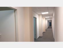 Langer, heller Büroflur mit grauem Teppichboden, weißen Wänden und abgehängter Decke mit integrierter Beleuchtung. Auf beiden Seiten des Flurs befinden sich mehrere offene Türen, am Ende ist eine Glas-Eingangstür sichtbar.