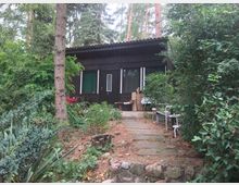 Eine kleine, dunkle Holzhütte mit großen Fenstern und einer Tür steht inmitten dichter Vegetation. Ein mit Steinplatten ausgelegter Weg führt durch den Garten mit Büschen, Bäumen und einem Holzstuhl vor der Hütte.
