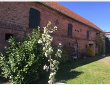 Backsteinbauernhaus mit roten Ziegelwänden, schwarzen Fensterläden und einem roten Dach, umgeben von einem Garten mit grünem Rasen, einem blühenden Baum und Sträuchern. Im Vordergrund steht eine Leiter an der Wand, und mehrere Pflanzen schmücken den Hof.