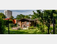 Kleingarten mit einer Holzlaube, umgeben von grünem Rasen, Bäumen und Blumen, im Vordergrund ein Maschendrahtzaun; im Hintergrund ist ein mehrstöckiges Wohngebäude sichtbar.